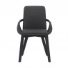 Greisen Modern Charcoal Wood Dining Room Chair 01