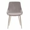 Heidi Gray Velvet Dining Accent Chair 02 - Heidi Gray Velvet Dining Accent Chair 02