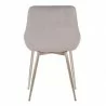 Heidi Gray Velvet Dining Accent Chair 03 - Heidi Gray Velvet Dining Accent Chair 03