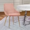 Heidi Blush Velvet Dining Accent Chair - Heidi Blush Velvet Dining Accent Chair
