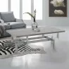 Armen Living Illusion Gray Wood Coffee Table with Brushed Stainless Steel Base - Armen Living Illusion Gray Wood Coffee Table with Brushed Stainless Steel Base