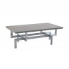 Armen Living Illusion Gray Wood Coffee Table with Brushed Stainless Steel Base