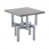 Armen Living Illusion Gray Wood End Table with Brushed Stainless Steel Base