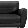 Jedd Contemporary Sofa in Genuine Black Leather with Brown Wood Legs - Arm Close-Up - Jedd Contemporary Sofa in Genuine Black Leather with Brown Wood Legs - Arm Close-Up