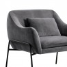 Karen Gray Velvet Modern Accent Chair 006