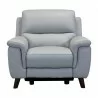 Lizette Contemporary Chair in Dark Brown Wood Finish and Dove Grey Genuine Leather - Front - Lizette Contemporary Chair in Dark Brown Wood Finish and Dove Grey Genuine Leather - Front