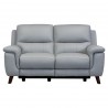 Lizette Contemporary Loveseat in Dark Brown Wood Finish and Dove Grey Genuine Leather - Front