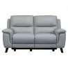 Lizette Contemporary Loveseat in Dark Brown Wood Finish and Dove Grey Genuine Leather - Front - Lizette Contemporary Loveseat in Dark Brown Wood Finish and Dove Grey Genuine Leather - Front