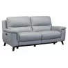 Armen Living Lizette Contemporary Sofa in Dark Brown Wood Finish and Dove Gray Genuine Leather Side - Armen Living Lizette Contemporary Sofa in Dark Brown Wood Finish and Dove Gray Genuine Leather Side