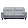 Lizette Contemporary Sofa in Dark Brown Wood Finish and Dove Grey Genuine Leather - Front