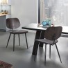 Armen Living Miki Mid-Century Walnut Wood Dining Accent Chairs (Set of 2) In Brown