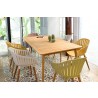 Armen Living Nassau Outdoor Arm Dining Chairs With Wood legs- Set of 2 1