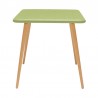 Armen Living Nassau Square Outdoor Sage Green Eucalyptus Dining Table  Front