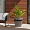 Armen Living Obsidian Medium Indoor or Outdoor Planter in Grey Concrete with Black Accent 