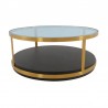 Armen Living Hattie Glass Top Brown Coffee Table with Brushed Gold Legs Front