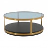 Armen Living Hattie Glass Top Brown Coffee Table with Brushed Gold Legs