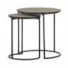 Armen Living Rina Concrete and Black Metal 2 Piece Nesting End Table Set in Natural 01