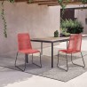 Shasta Outdoor Metal and Rope Stackable Dining Chair - Brick Red Rope