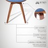 Summer Modern Chair 
