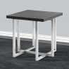 Topaz Contemporary End Table in Brushed Stainless Steel Finish with Grey Veneer Wood Top - Lifestyle