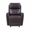 Wolfe Contemporary Recliner in Dark Brown Genuine Leather - Front