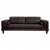 Wynne Contemporary Sofa in Genuine Espresso Leather with Brown Wood Legs - Front