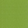 Tropical Lime Green