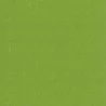 Tropical Lime Green COMPOSITE SLATS - Tropical Lime Green COMPOSITE SLATS