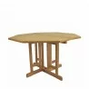 Butterfly 47" Octagonal Folding Table-1 - Butterfly 47" Octagonal Folding Table-1