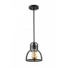 ZEEV Lighting Canton Pendant  - ZEEV Lighting Canton Pendant 