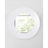 Delaney Mirror In High Gloss White Lacquer - Front