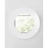 Delaney Mirror In High Gloss White Lacquer - Front - Delaney Mirror In High Gloss White Lacquer - Front