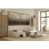 Innovation Living Newilla Sofa Bed with Wide Arms 04 - Innovation Living Newilla Sofa Bed with Wide Arms 04
