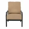 Woodard Nico Cushion Lounge Chair - Front View - Woodard Nico Cushion Lounge Chair - Front View