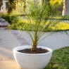 The Outdoor Plus Luna GFRC Planter Bowl