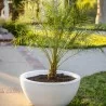 The Outdoor Plus Luna GFRC Planter Bowl - The Outdoor Plus Luna GFRC Planter Bowl