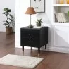 Manhattan Comfort Stanton Modern Nightstand with 2 Full Extension Drawers and Solid Wood Legs in Black - Manhattan Comfort Stanton Modern Nightstand with 2 Full Extension Drawers and Solid Wood Legs in Black