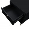 Manhattan Comfort Stanton Modern Nightstand with 2 Full Extension Drawers and Solid Wood Legs in Black Drawer