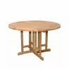 Butterfly 47-inch Round Folding Table-1 - Butterfly 47-inch Round Folding Table-1