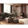 Osburn Stoves 1700 Wood Stove - Lifestyle 5 - Osburn Stoves 1700 Wood Stove - Lifestyle 5