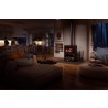 Osburn Stoves Inspire 2000 Wood Stove - Lifestyle 2