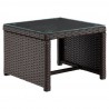 Manhattan Comfort Menton Steel Rattan 2-Piece Chair Lounge and 2 Seater with Coffee Table Patio Set Table