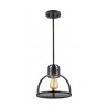 ZEEV Lighting Canton Pendant 