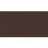Chestnut Brown - Chestnut Brown