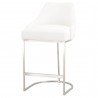 Essentials For Living Parissa Counter Stool - Brushed Stainless Steel - Angled View