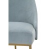 Essentials For Living Parissa Dining Chair in Coastal Velvet - Seat Close-up
