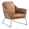 Moe's Home Collection Greer Club Chair - Cappuccino - Perspective