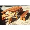 Picnic Table - Set with Picnic Bench - Picnic Table - Set with Picnic Bench