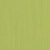 Cabana Kiwi - Swatch