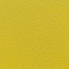 Frame Finish Lemon Silver